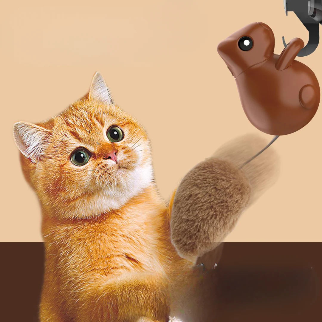 Cat Teasing Automatic Squirrel Tail Hanging Toy