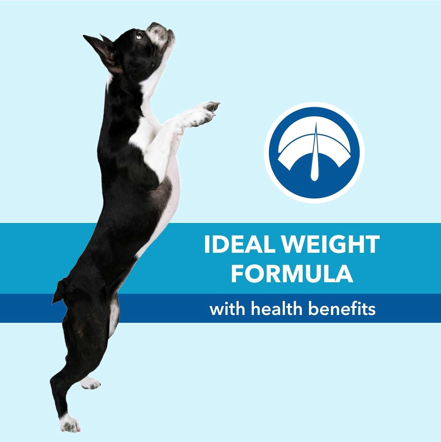 PUREPET Chicken & Vegetables Dry Food For Adult