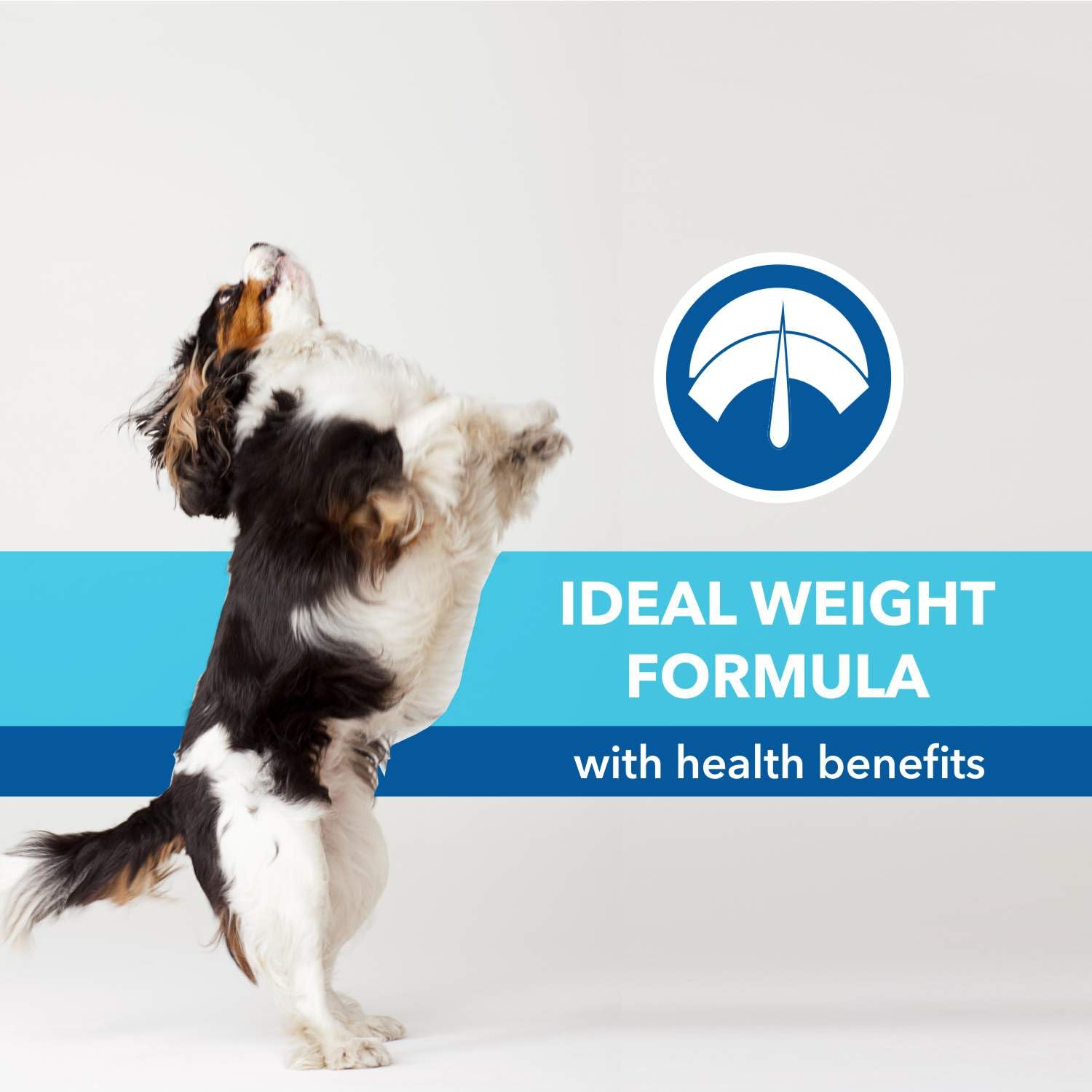 PUREPET Chicken & Vegetables Dry Food For Puppy