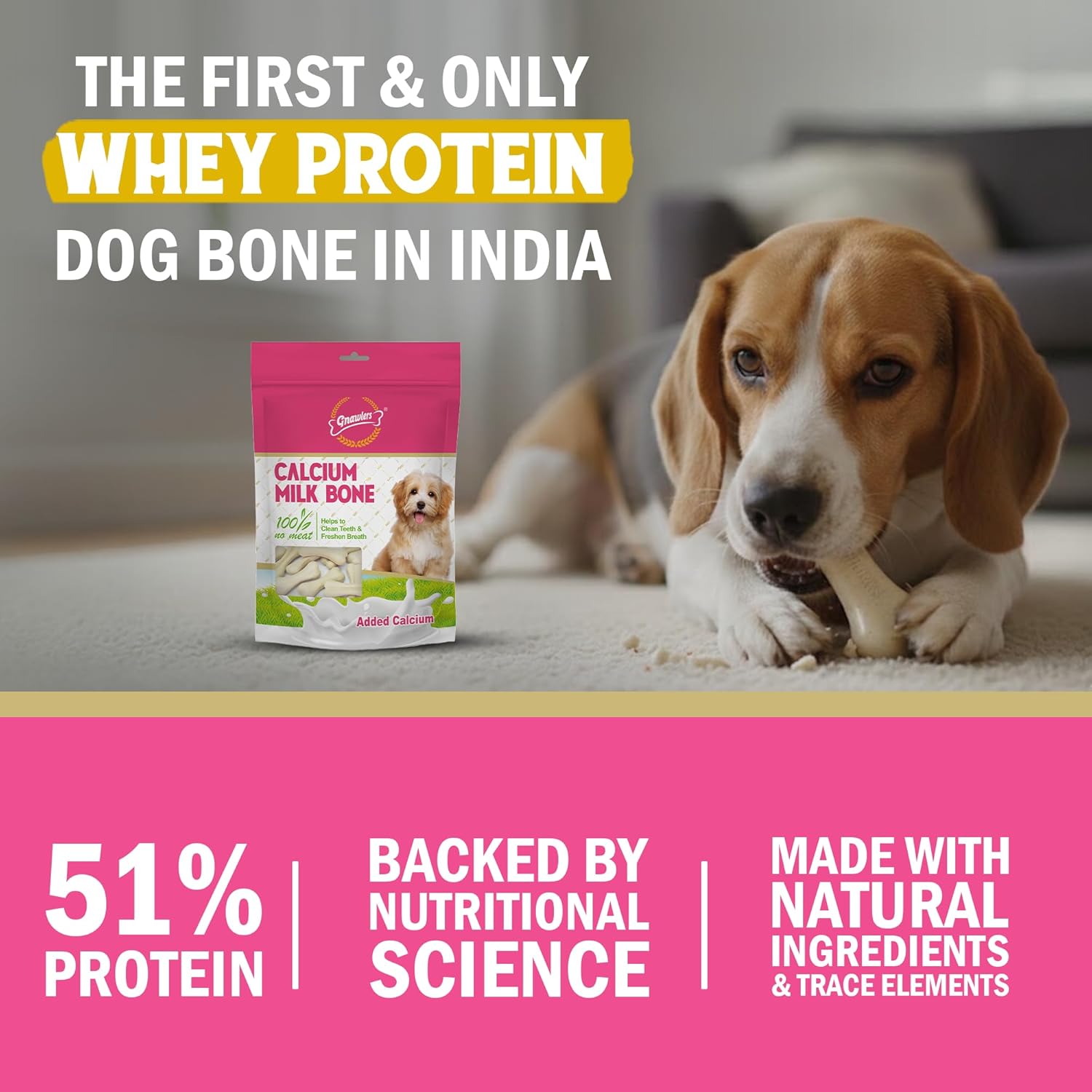 Gnawlers Calcium Milk Bone Dog Treats