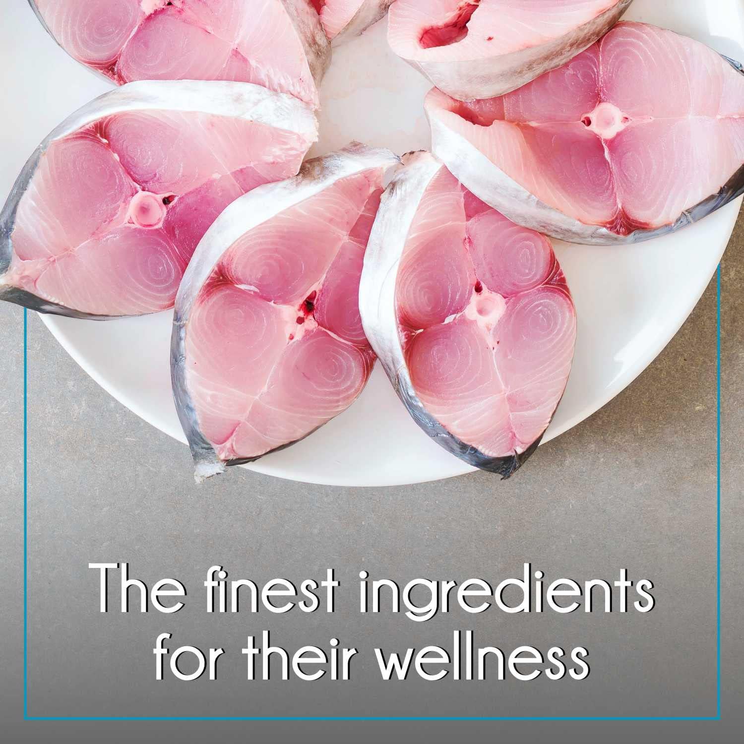 PUREPET Ocean Fish Dry food For Cats