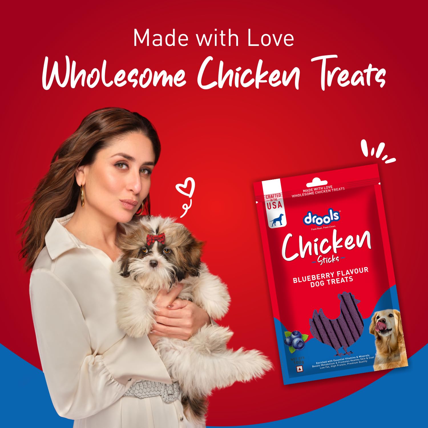 Drools Blueberry Flavour Chicken Sticks Treat for Dogs