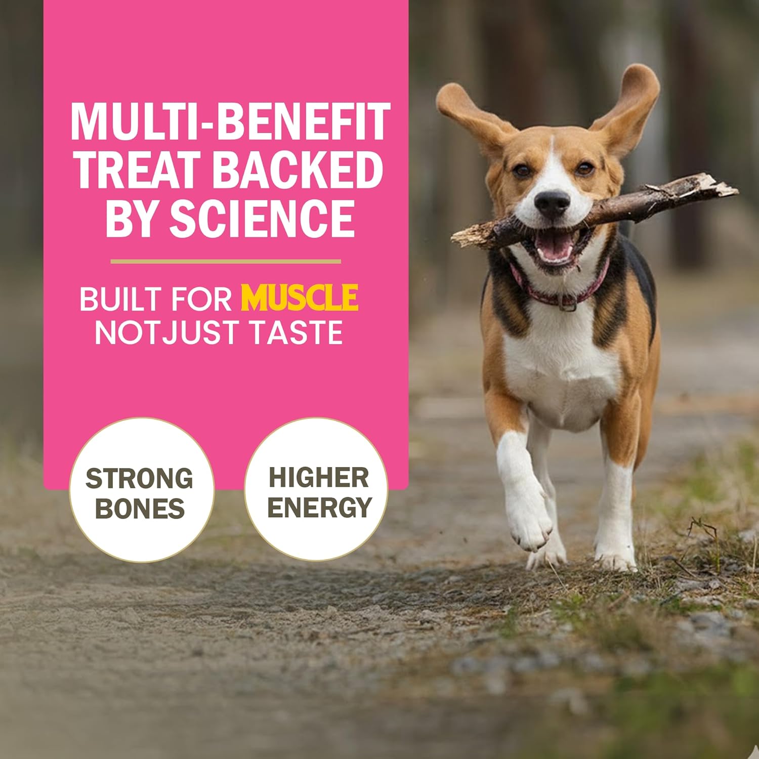 Gnawlers Calcium Chicken Stick Dog Treat