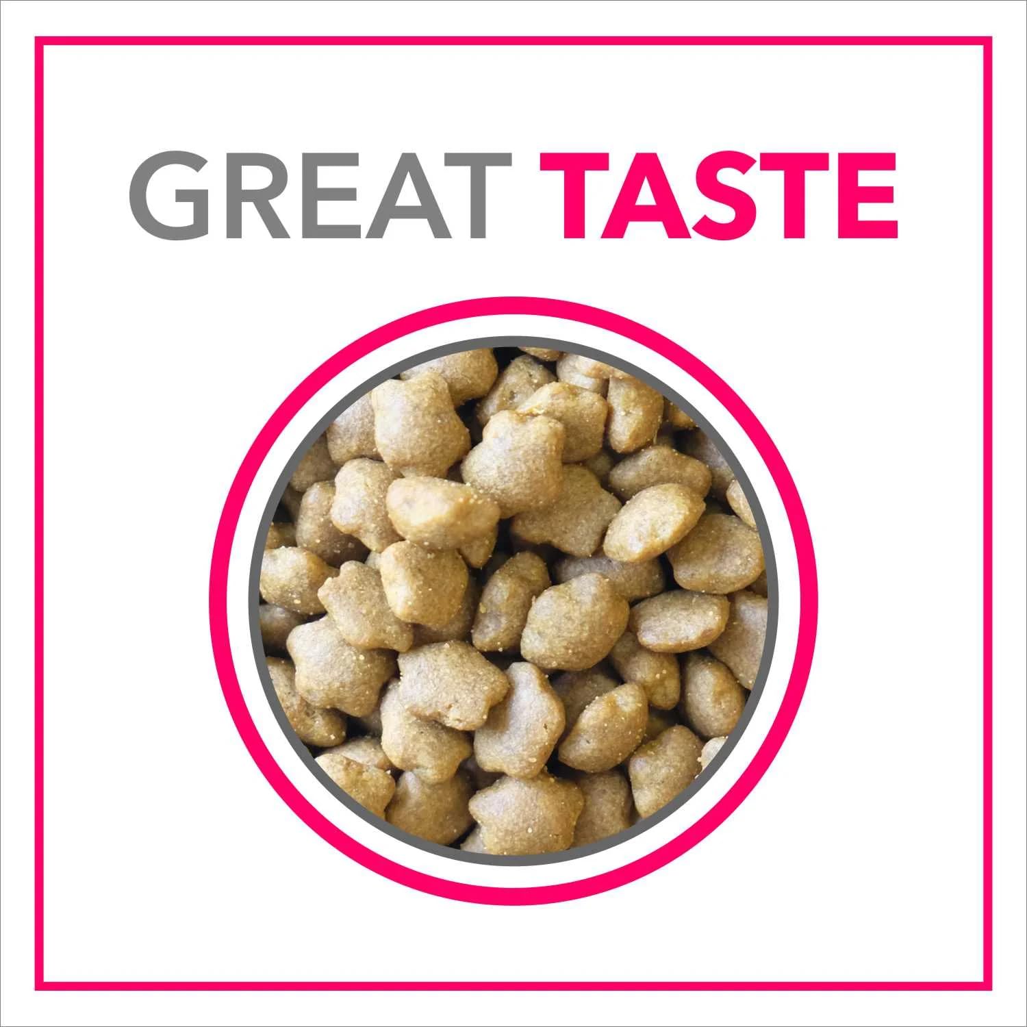 PUREPET Tuna and Salmon Dry Food For Adult Cat