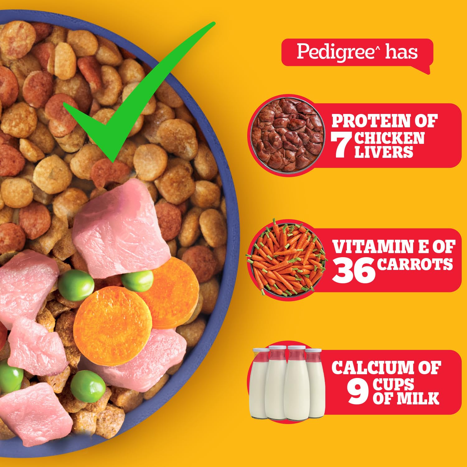 PEDIGREE Chicken & Milk Dry Food For Puppy