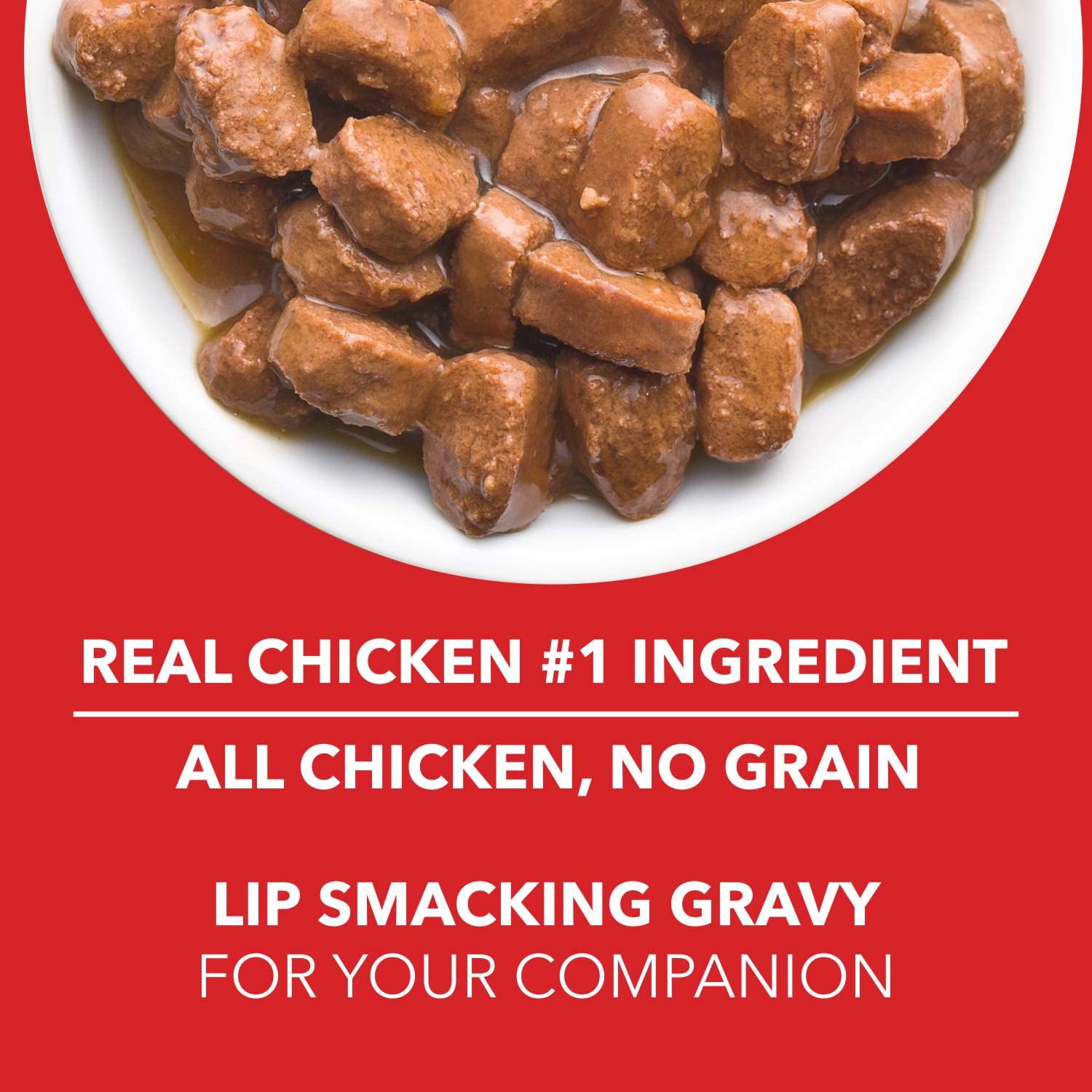 Drools Real Chicken and Chicken Liver Chunks in Gravy Adult Wet Dog Food  Pack of 6